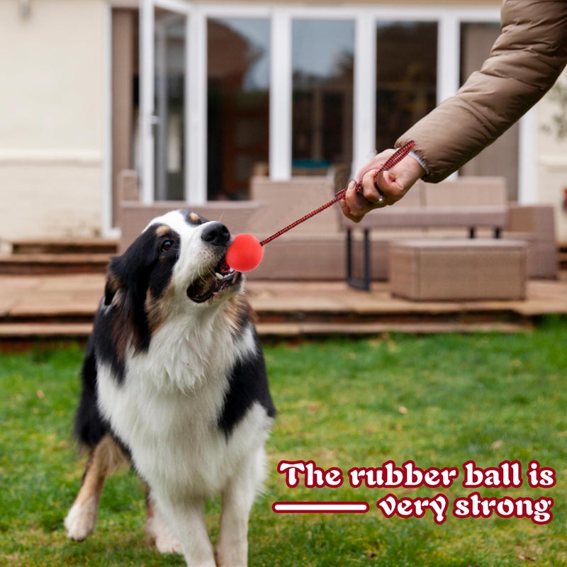 CoscosX Natural Rubber Dog Toy Ball On a Rope Reward for Pet Training/Playing/Chewing Solid Tooth Cleaning Toys,Virtually Indestructible - Image 3